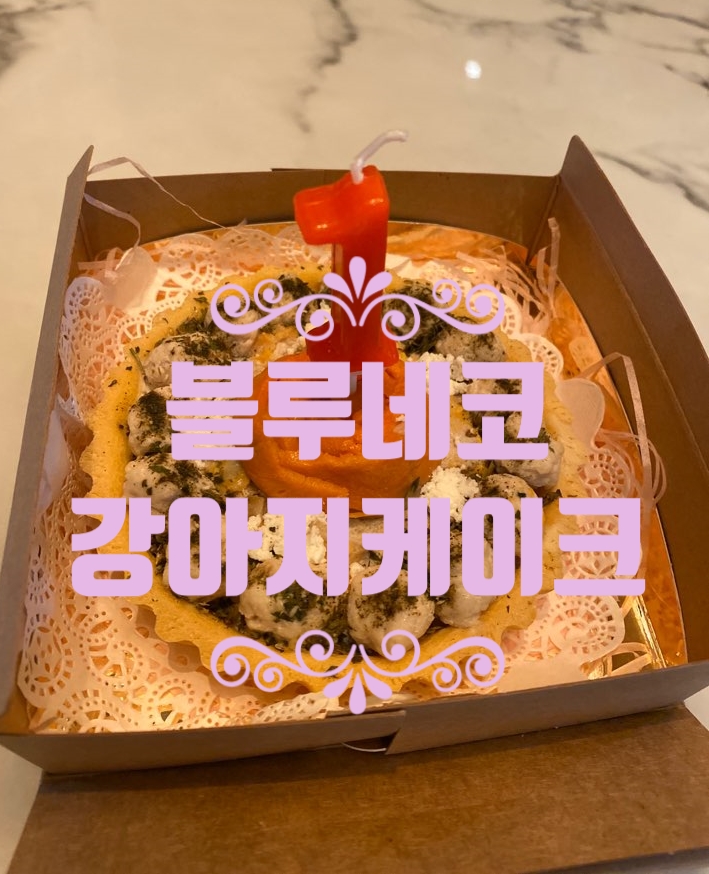 강아지 생일파티 : 블루네코 오리볼 강아지 케이크 수제간식. 내돈내산 후기 강아지 생일파티 : 블루네코 오리볼 강아지 케이크 수제간식. 내돈내산 후기