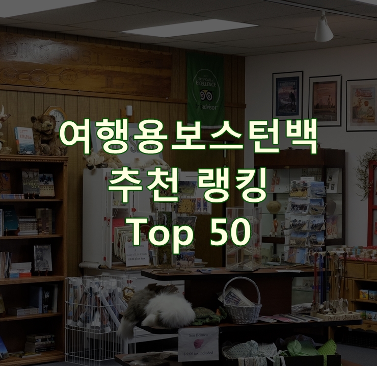  가성비 좋은 여행용보스턴백 리뷰 Best 50