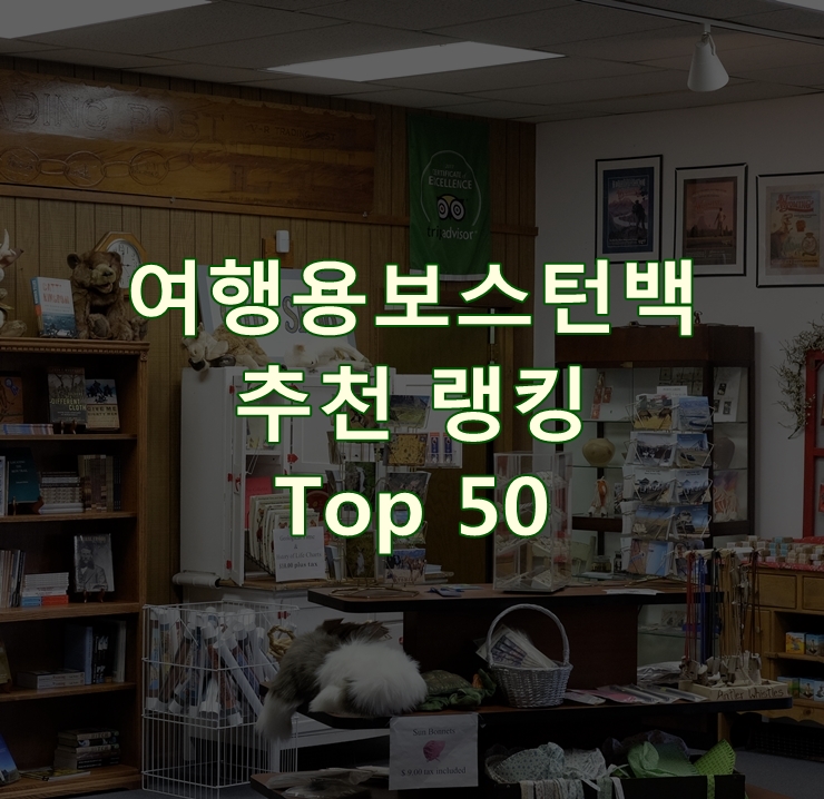 가성비 좋은 여행용보스턴백 리뷰 Best 50