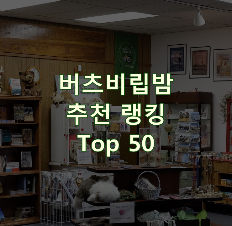 판매가 좋은 버츠비립밤 순위 Top 50