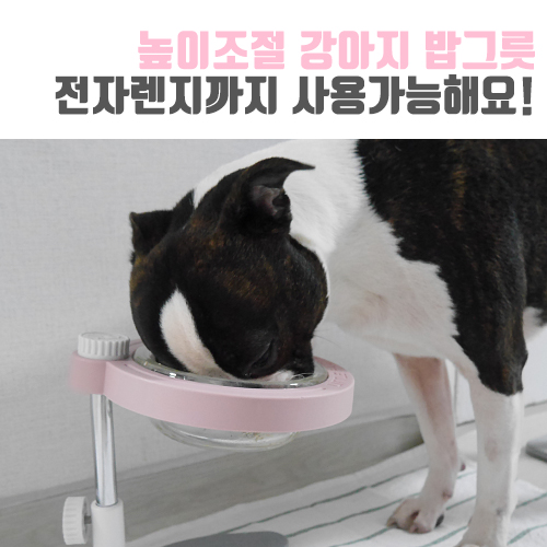  [보보일기/리틀팩토리] 높이조절 강아지밥그릇 유리식기, 세척 전자렌지 사용도 용이해요!