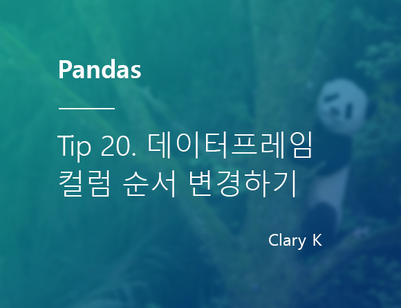 [파이썬] 판다스(pandas) 팁20. 데이터프레임 컬럼 순서 자유자재로 변경하기