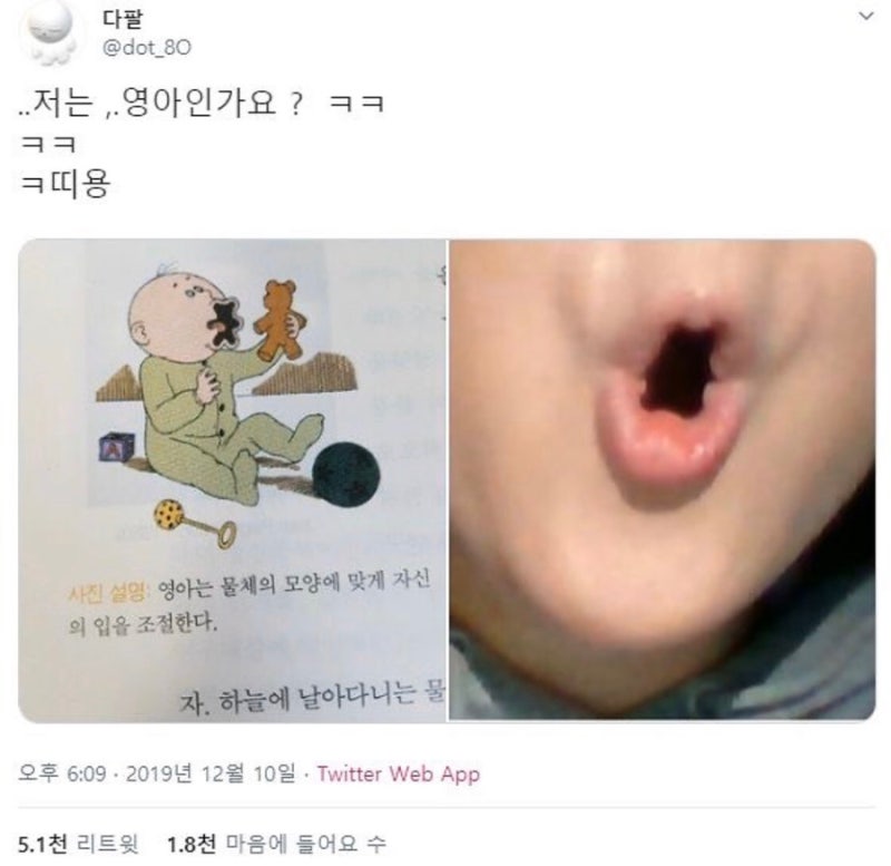 귀여운 동물짤, 웃긴사진, 웃음지뢰, 웃긴짤 모음 : 네이버 블로그