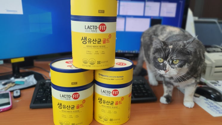 온가족 유산균 종근당 락토핏 생유산균 골드 온가족 유산균 종근당 락토핏 생유산균 골드