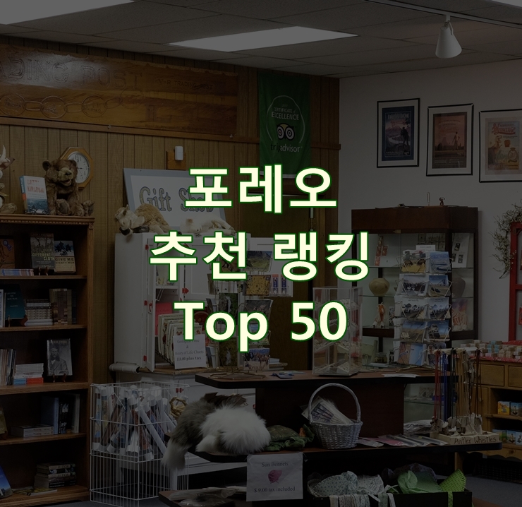  인기 좋은 포레오 랭킹 Best 50