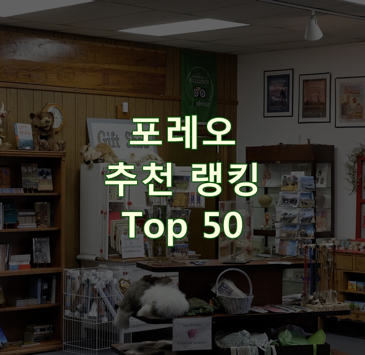 인기 좋은 포레오 랭킹 Best 50