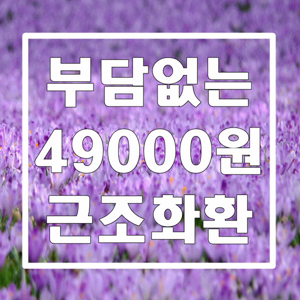  근조화환 49000원 부담 없는 가격으로 애도의 마음 전하기