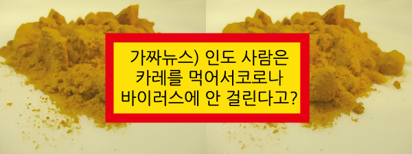  가짜뉴스) 카레를 먹어서 인도 사람은 코로나 바이러스에 안 걸린다고? 참담한 중세 흑사병 수준...Update