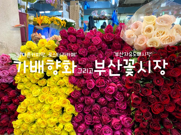  남다른커피맛, 부산로스터리카페 가배향화 (플랫화이트, 브라운아이, 와플, 필터교환마스크) 그리고 부산자유도매시장 부산꽃시장 (부산꽃시장주차, 부산꽃시장꽃가격)