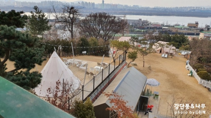  남양주 애견동반카페 카페스토리 대형견 가능 운동장도 있음