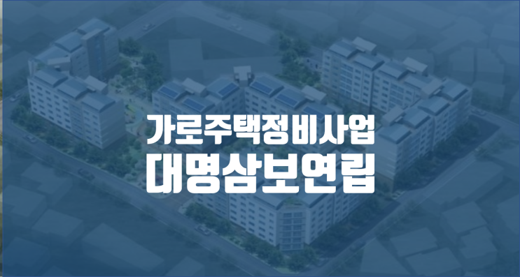 대명삼보연립 임장기 / 서울가로주택정비사업 순례