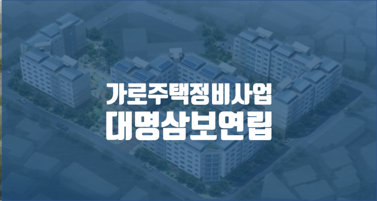  대명삼보연립 임장기 / 서울가로주택정비사업 순례