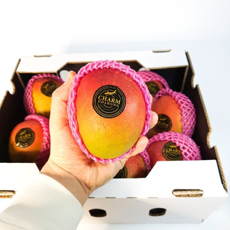 방씨아들 애플망고 태국망고 4kg 5kg 특품 설날 선물세트, 1box, 애플망고4kg(9~12수/판매자추천!) 추천해요 방씨아들 애플망고 태국망고 4kg 5kg 특품 설날 선물세트, 1box, 애플망고4kg(9~12수/판매자추천!) 추천해요