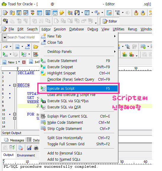 [ORACLE] PL/SQL 실행방법 - TOAD : 네이버 블로그