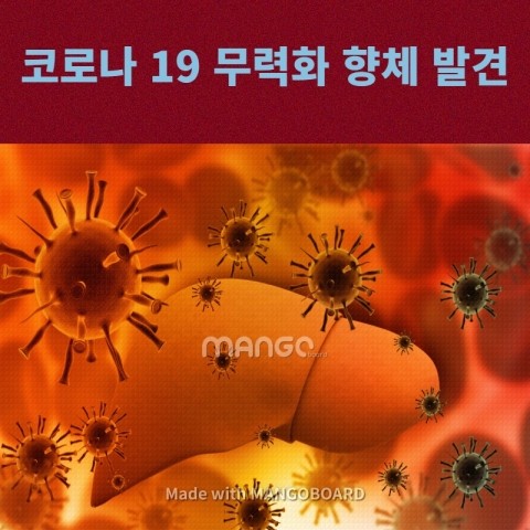  코로나 19 무력화 행체 발견(생물정보학 분석을 통해 예측)