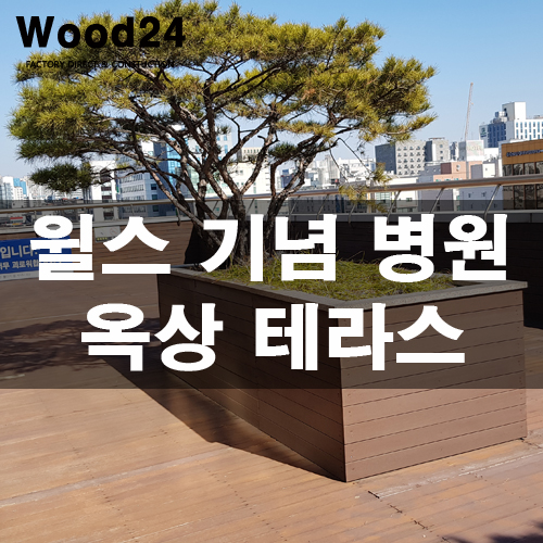  윌스 기념 병원 옥상 정원 테라스