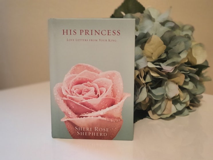  초보도 쉽게 읽히는 영어원서 입문 추천책  His princess ( 딸아, 너는 나의 보석이란다 )