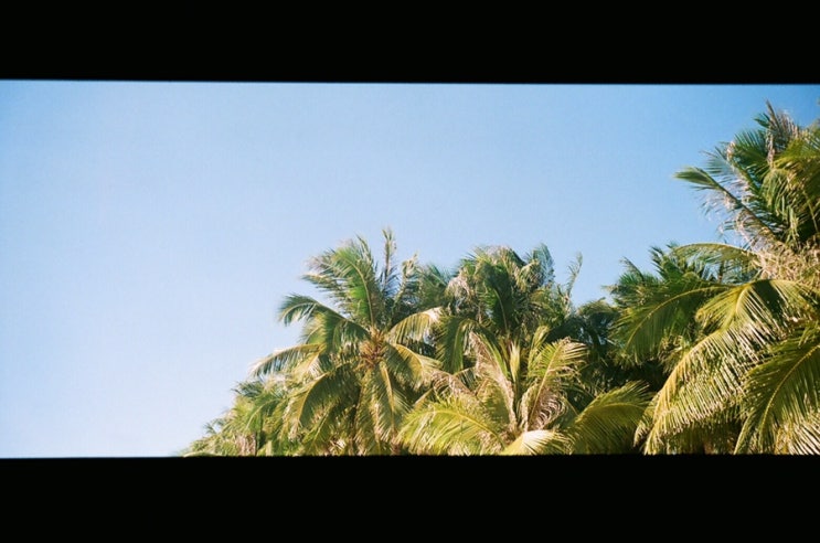  #3