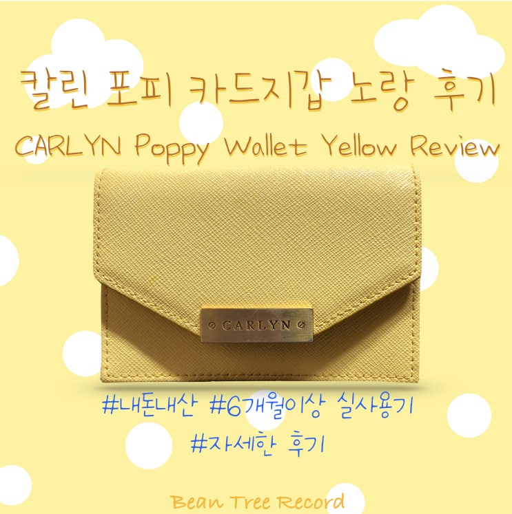  칼린 카드지갑(yellow) 포피 6개월 이상 실사용 리뷰 - W78192010
