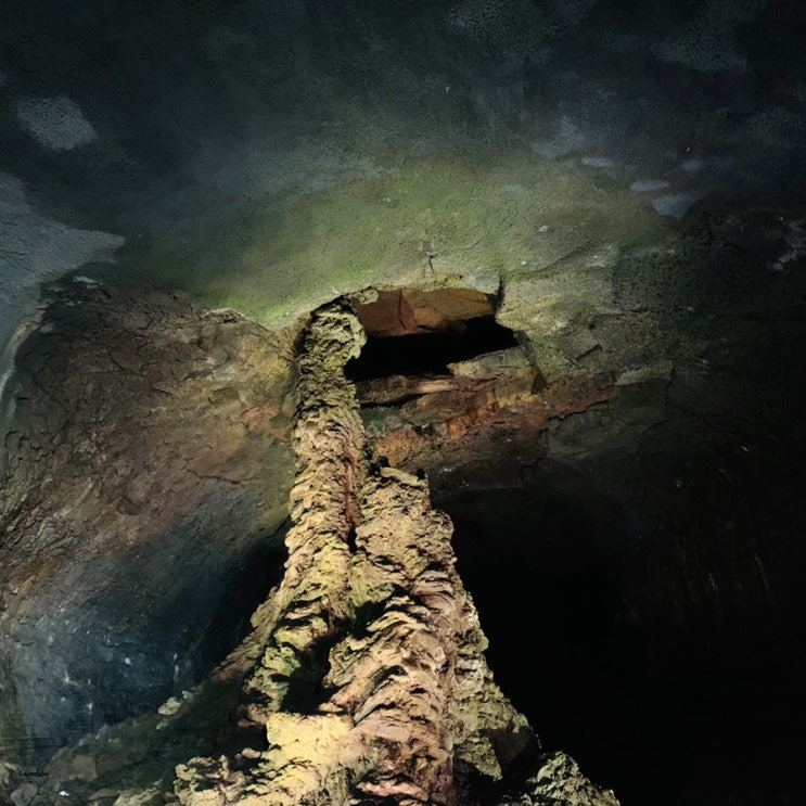 [제주여행]용암동굴 만장굴 세계문화유산 인정 자연의신비