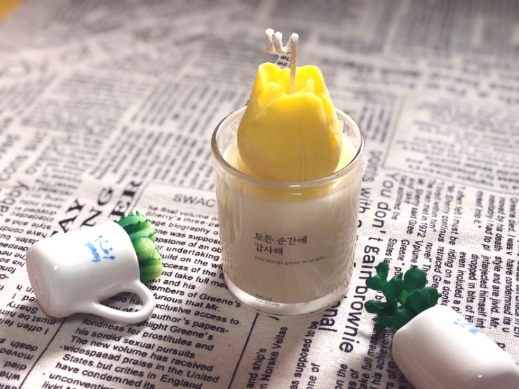  예쁜캔들 봄맞이 향초, 튤립캔들, 선인장캔들 어떠세요