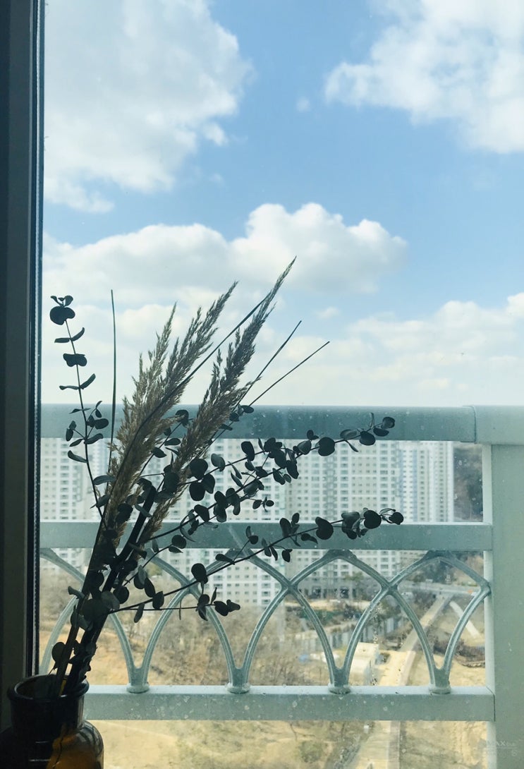  조카보러 갔다가 삼겹살로 마무리 :)
