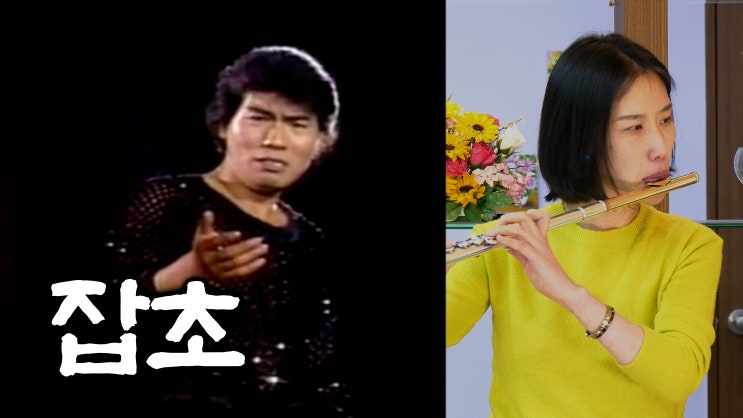 나훈아, 잡초 - 왕성자 플룻 트로트 연주 노래방 반주 - 부산 플루트 앙상블 동호회 학원 입시 추천 강의