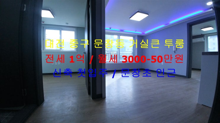  대전 중구 문창동 문창초 인근에 있는 신축 첫입주 ~ 거실큰 투룸 전세, 월세 모두 가능한 매물입니다 ^^