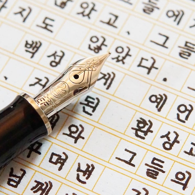  보내지 않았다 (펠리칸 M405 슈트레제만 ef닙)