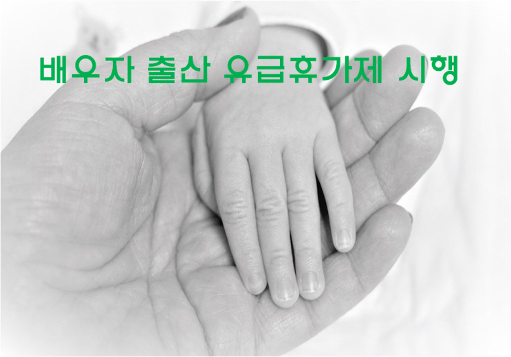  근로자 1인이상 사업체는 배우자 출산 유급휴가제를 시행해야 합니다