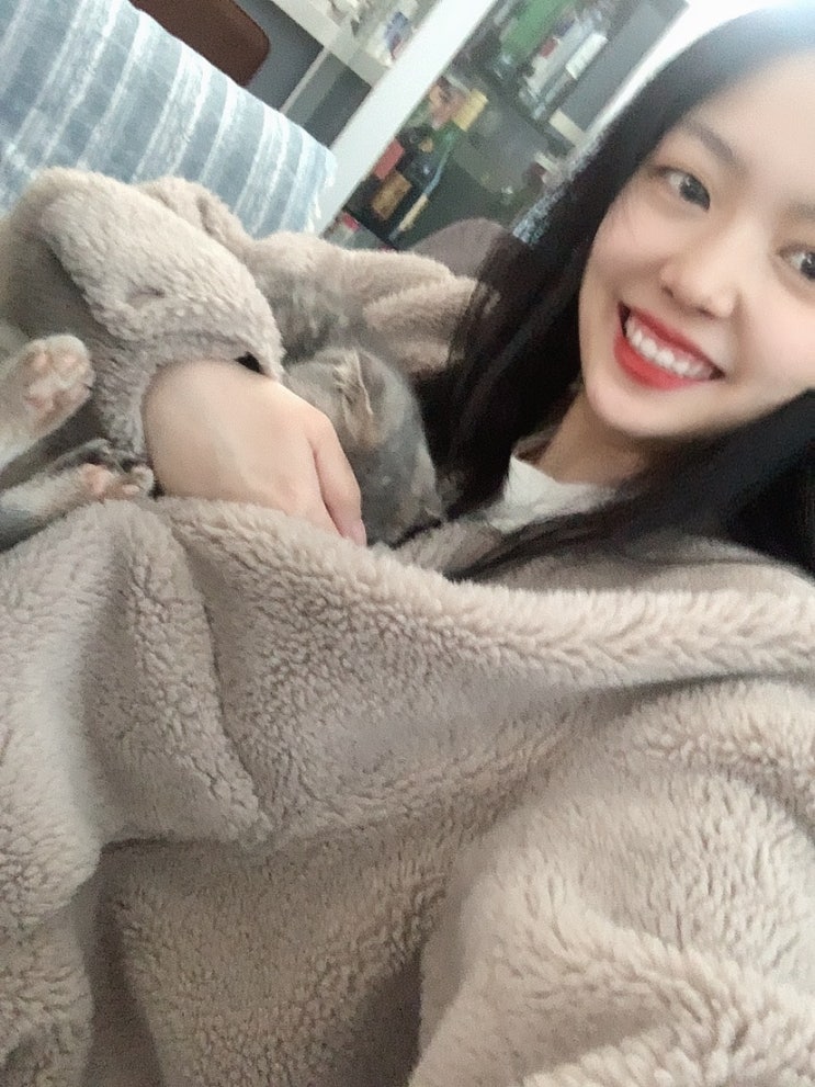  ️ 프로 집순이의 길.. ️