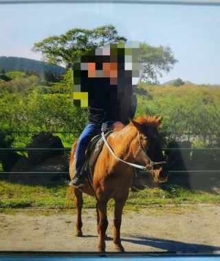  제주도 말 탄거 인증.