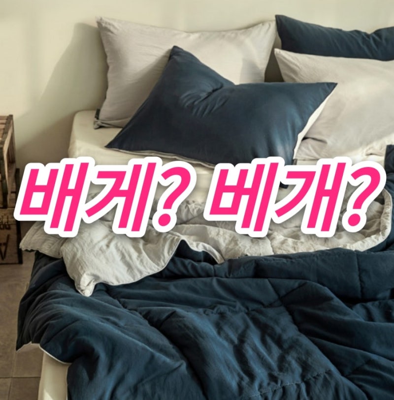 나랏말싸미:) '배게'vs'베개' 맞춤법 어떤게 맞는걸까?