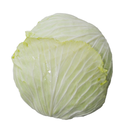  로켓프레시 특가할인 : 무농약 양배추 1개 3kg ; 식품