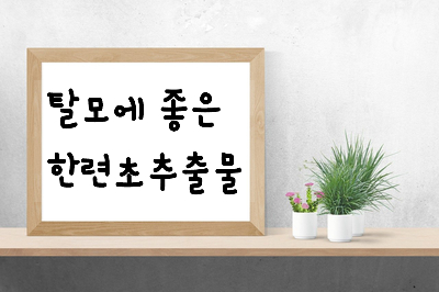  한련초추출물 효능 7가지