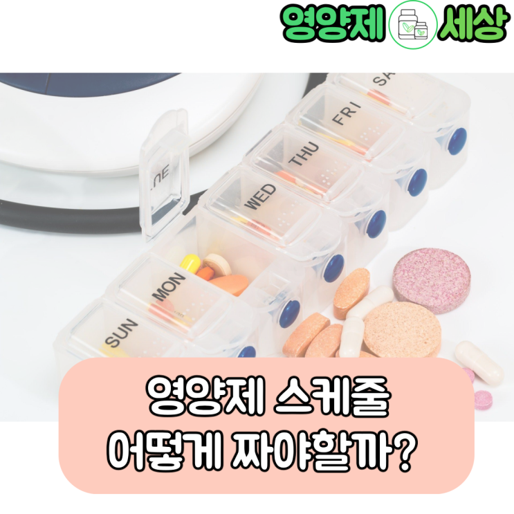  아침, 점심, 저녁, 영양제 언제 먹어야 하나요?