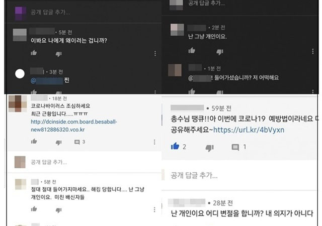 중국 유학생 조선족 게이트, 우마오당, 댓글부대, 준군사조직
