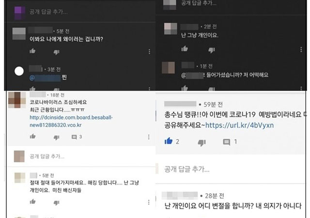  중국 유학생 조선족 게이트, 우마오당, 댓글부대, 준군사조직