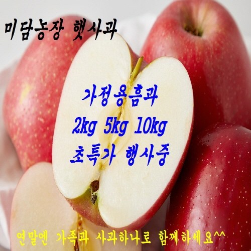  할인특가 로켓프레시 ; A마감임박초특가기획상품 청송사과 1box 09가정용흠과 5KG중과 : 식품