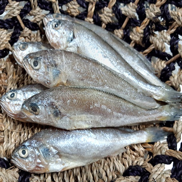 찬찬수산 (1kg+1kg)고소한 국내산 참조기 냉동, 1개, 1kg+1kg 추천해요 찬찬수산 (1kg+1kg)고소한 국내산 참조기 냉동, 1개, 1kg+1kg 추천해요
