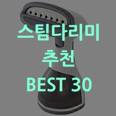  가성비 좋은 스팀다리미 추천 BEST 30 소개해요