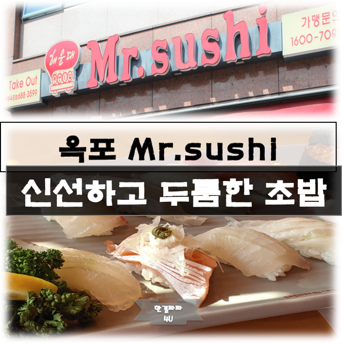  거제 옥포초밥 미스터스시 두툼하고 신선한 활어초밥!!