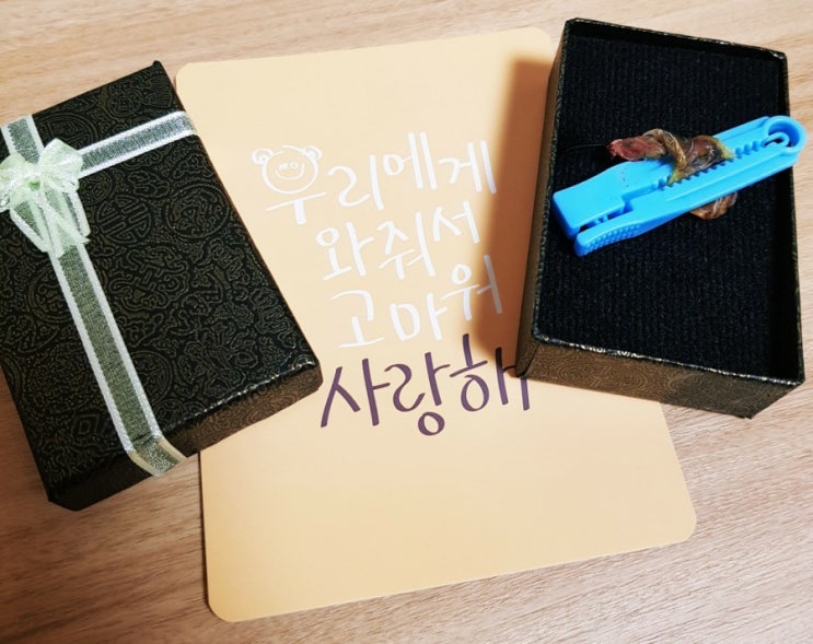 39편 "명랑이 제대탈락 했어요" 39편 "명랑이 제대탈락 했어요"