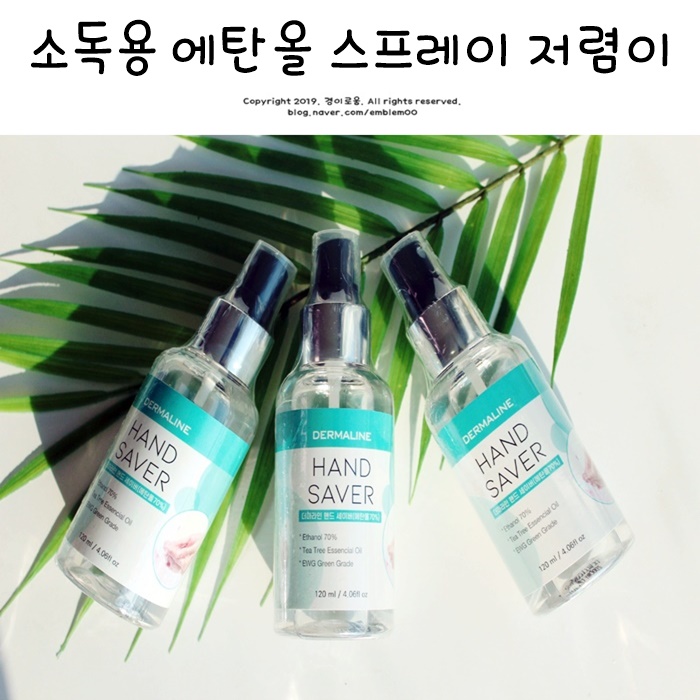 소독용 에탄올 스프레이 만들기 대신 뿌리는 손소독제 내돈 살림 소독용 에탄올 스프레이 만들기 대신 뿌리는 손소독제 내돈 살림
