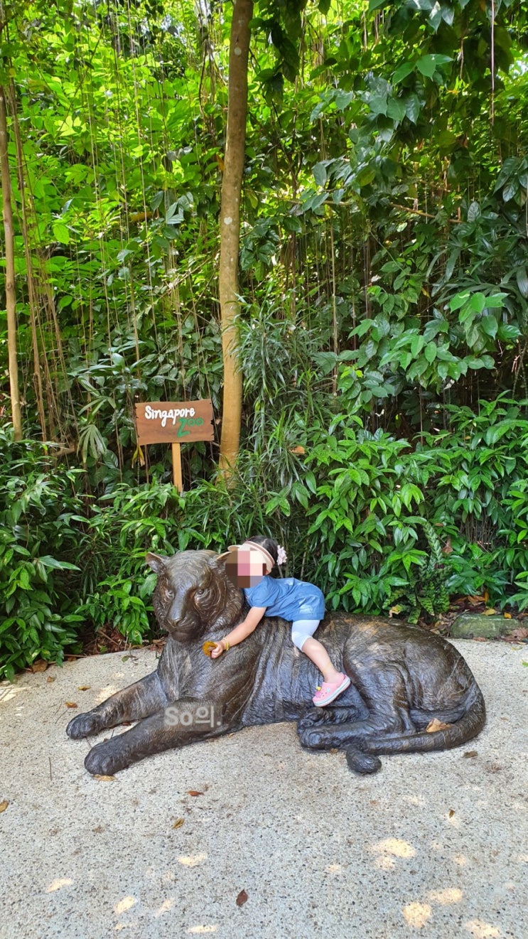 [아이와 함께하는 여행:싱가폴 ] 싱가포르 동물원