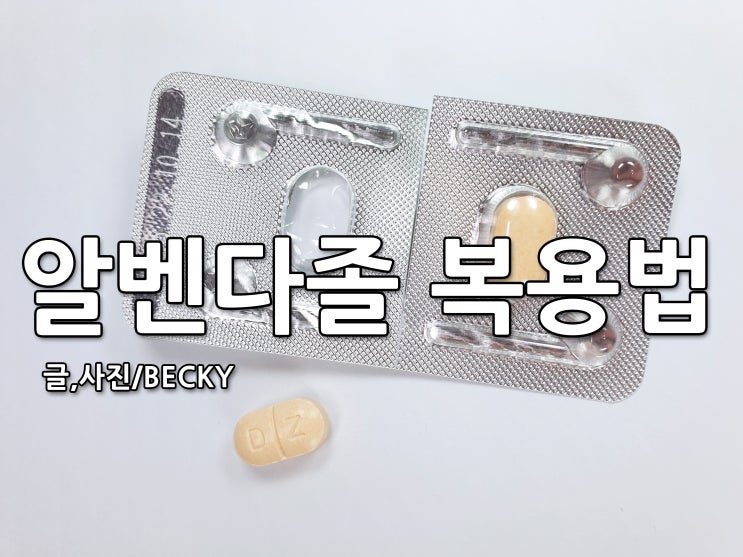  알벤다졸 복용법과 비염 효능 판매중지 까지 모든 정보