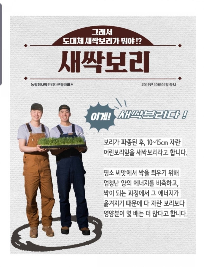 발아보리가루 ​​가격, 젠파샵 발아보리가루 ​​추천! 1