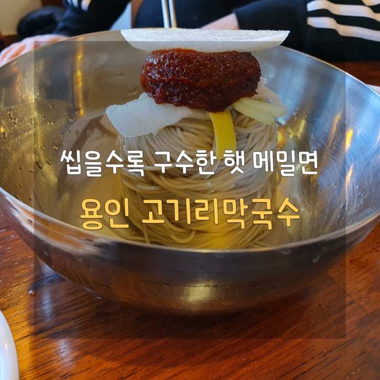  [별미 들기름막국수가 있는] 용인 고기리막국수