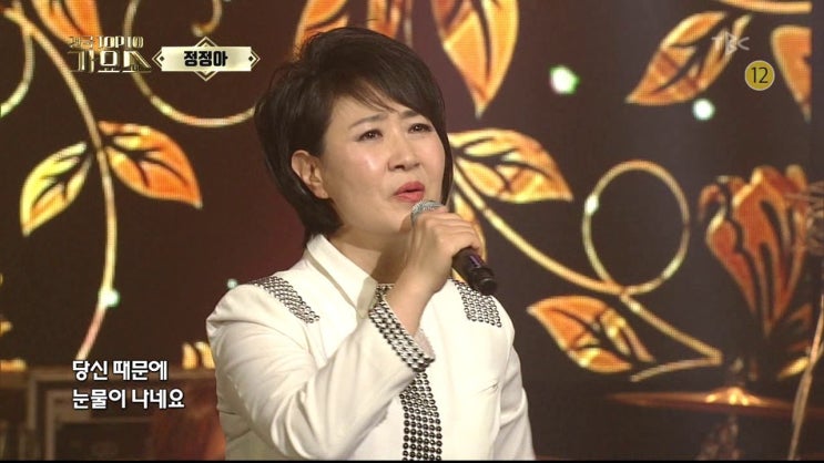  음악 소스 컬렉션 별