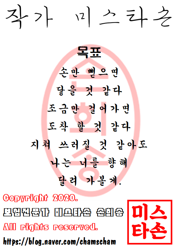  작가 미스타손 손희송-목표
